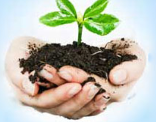 Logo for Number One Allotment Chiswick